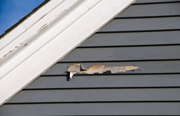 Best Construction Debris Removal  in Roseland, FL